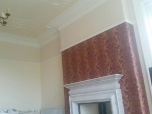 Camoid ceiling completed